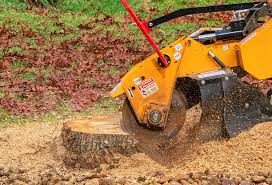Best Weed Control  in Rocky Point, NY