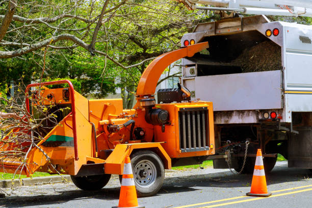Best Emergency Tree Removal  in Rocky Point, NY