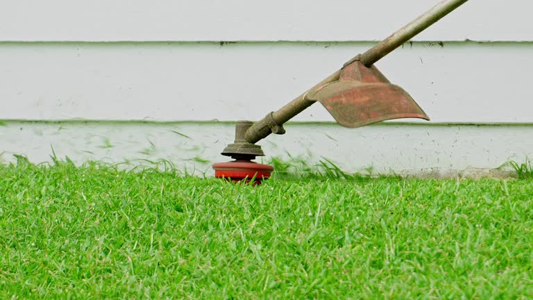 Best Lawn Grading and Leveling  in Rocky Point, NY